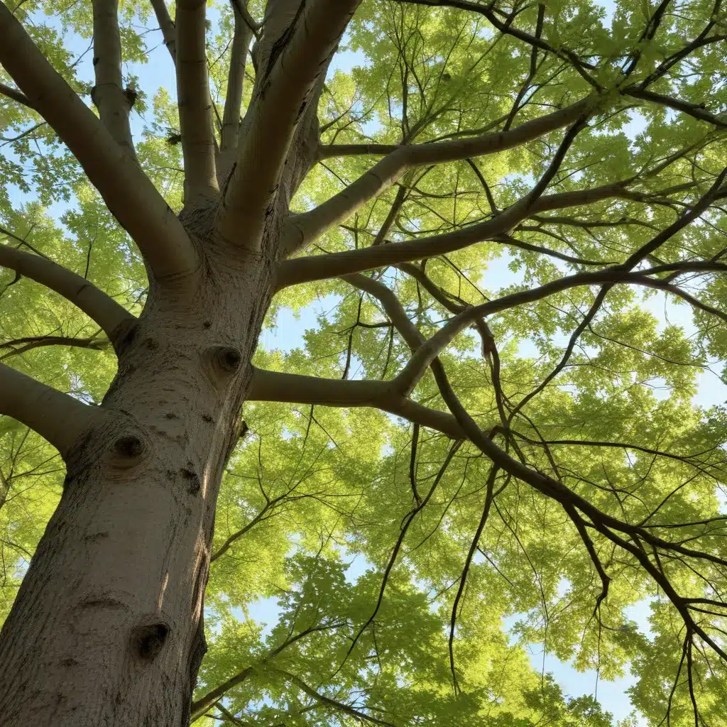 Seasonal Tree Maintenance: Unlocking the Mysteries of Seasonal Tree Behavior, Adaptation, and Growth