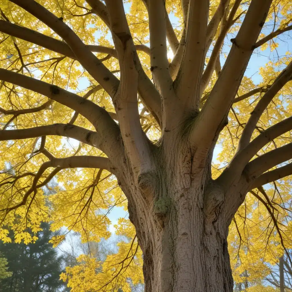 Seasonal Tree Maintenance: Unlocking the Mysteries of Seasonal Tree Behavior and Adaptation