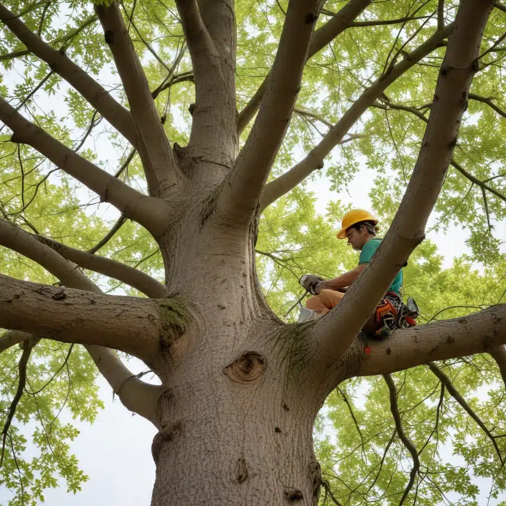 Seasonal Tree Maintenance: Unlocking the Potential of Nature’s Patterns for Optimal Growth and Resilience