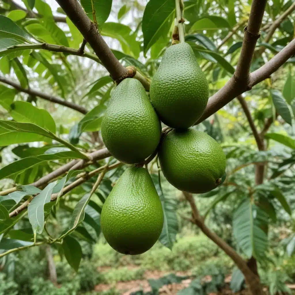 The Alluring Avocado Tree: Exploring the Wonders of This Tropical Treasure