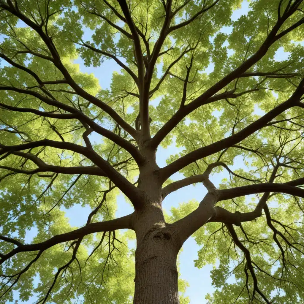 The Intersection of Tree Care and Climate Change: Adapting to a Warming World