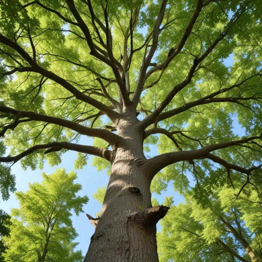 The Science of Tree Care: Understanding the Needs of Different Species