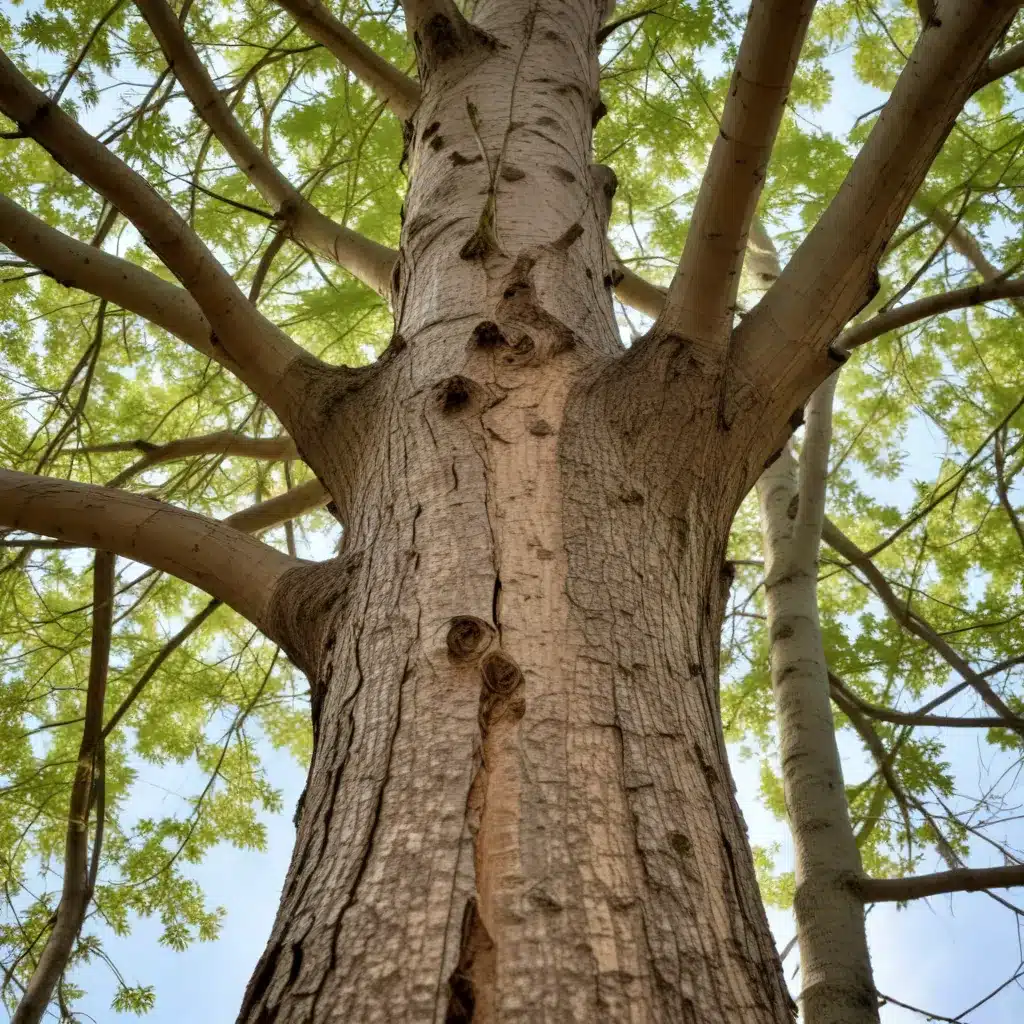 Unlocking the Potential of Nature’s Patterns: Strategies for Sustainable, Long-Term Seasonal Tree Maintenance