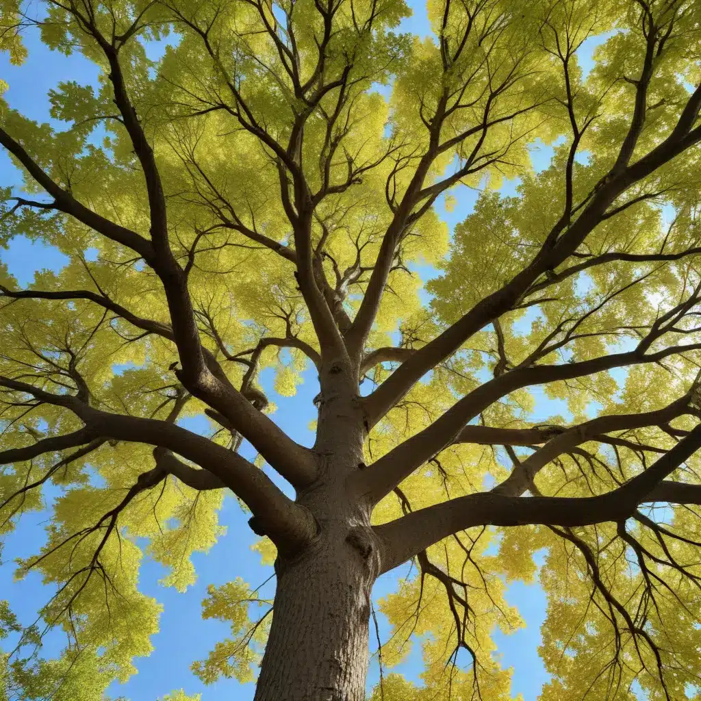 Unlocking the Secrets of Resilient, Adaptive Trees Through All Seasons